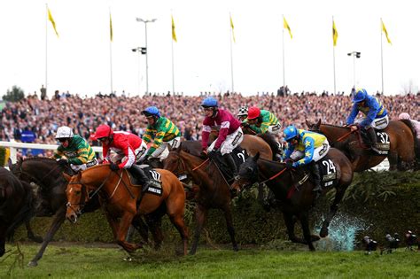 2016 Grand National: Results, Runners & Fallers.